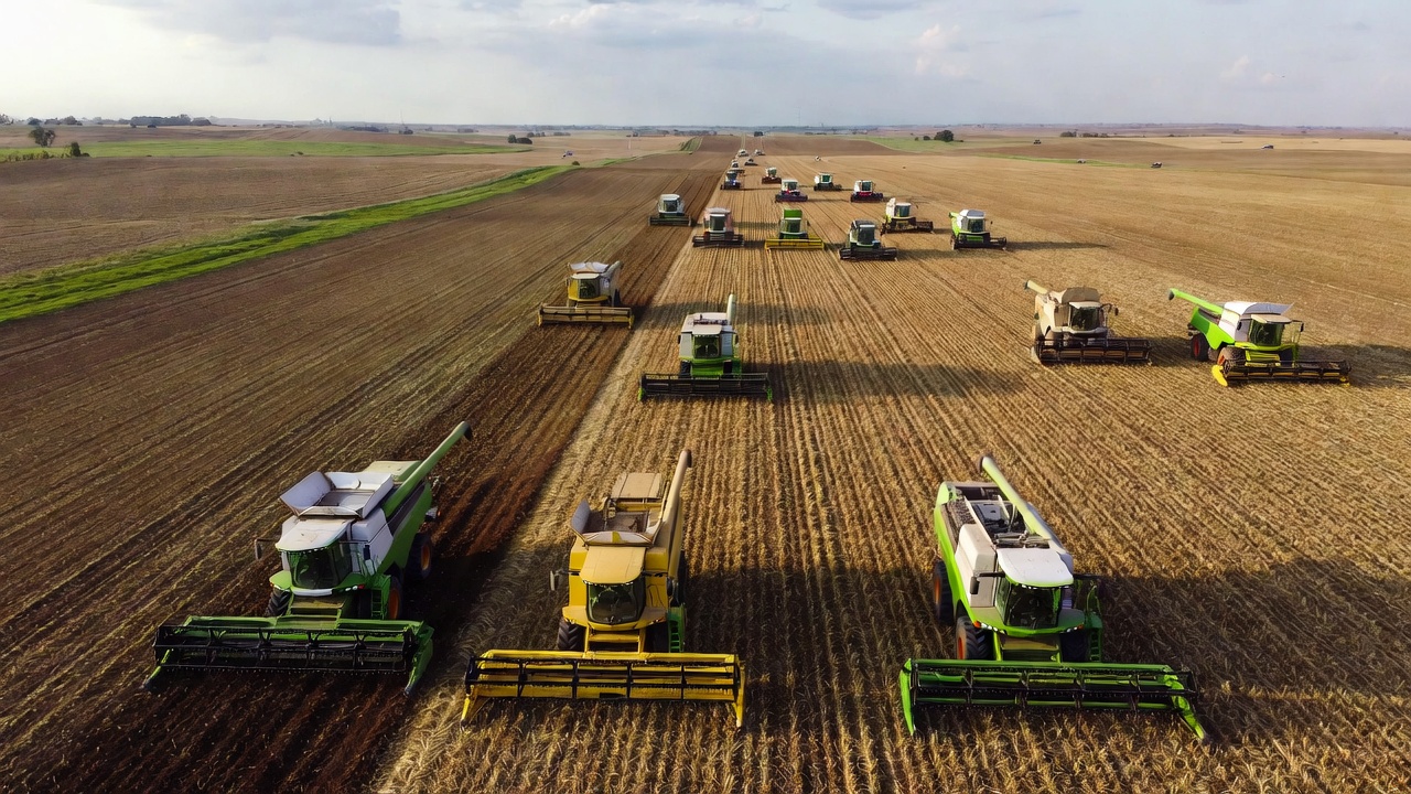 Kənd təsərrüfatı